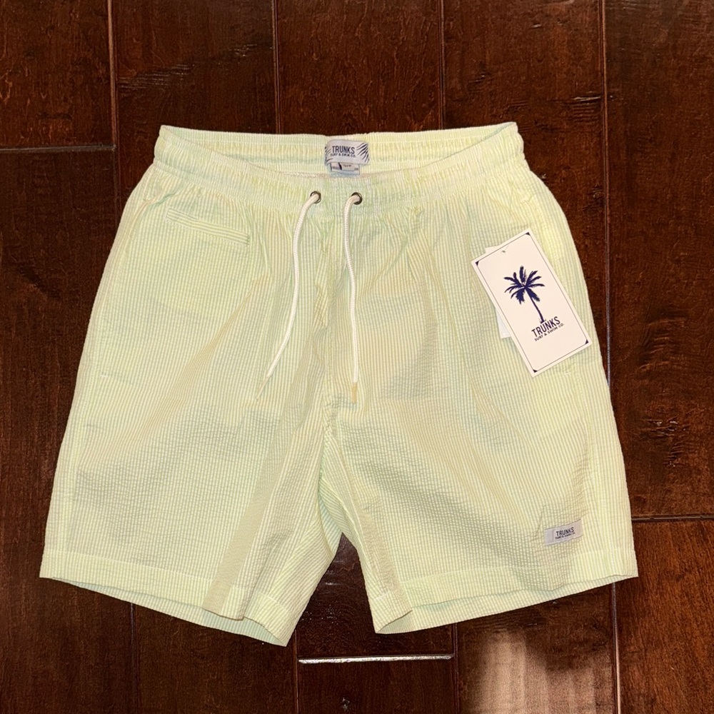 Trunks Men's Mint Green Swim Trunks